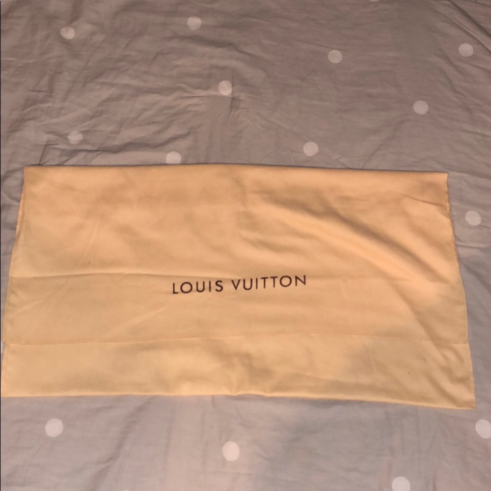 Louis Vuitton dust bag